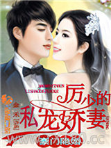 豪门隐婚：厉少的私宠娇妻图片