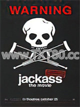 海贼王世界的引导者图片