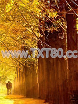 卡莱特的午后图片