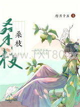 古代药膳手札图片