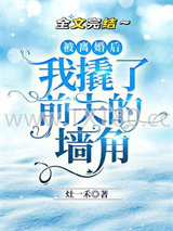 被离婚后我撬了前夫的墙角图片