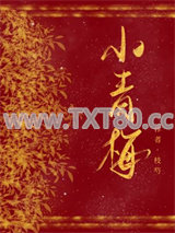 黑皮将军的小青梅图片