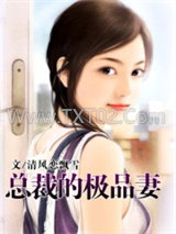 总裁的极品妻图片