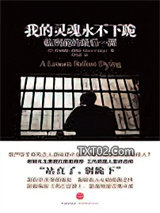 我的灵魂永不下跪图片