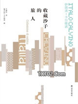 收藏沙子的旅人图片