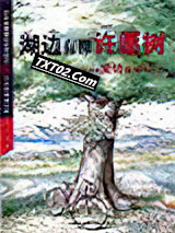 湖边有棵许愿树图片