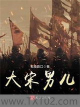 大宋男儿图片