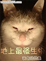 地上最强生物图片