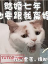 结婚七年他要跟我离婚图片