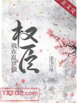 我在乱世做权臣图片