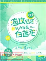 渣攻到死都以为我是白莲花[快穿]图片