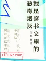 我是穿书文里的恶毒炮灰图片