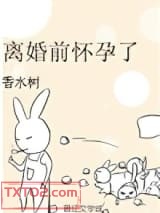 离婚前怀孕了图片