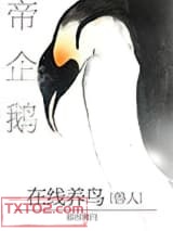 帝企鹅在线养鸟图片