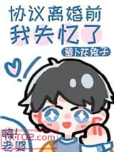 协议离婚前我失忆了图片