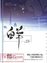 白羊