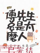 傅先生总是太磨人图片