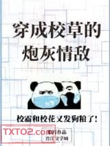 穿成校草的炮灰情敌图片