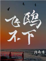 飞鸥不下图片