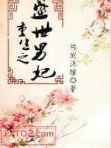 重生之盛世男妃图片