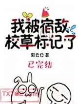 我被宿敌校草标记了图片