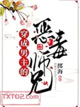 穿成男主的恶毒师兄图片