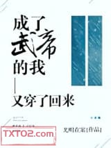 成了武帝的我又穿了回来图片