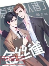 总裁他认错了金丝雀图片