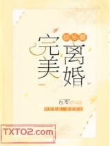 完美离婚[娱乐圈]
