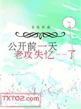 公开前一天，老攻失忆了图片