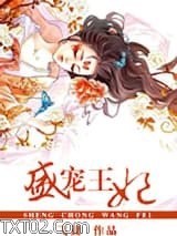 盛宠王妃图片