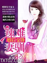 婚后交锋之辣妻难驯图片