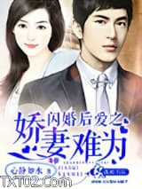 闪婚后爱之娇妻难为图片