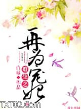 重生之再为宠妃图片