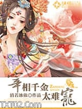 宰相千金太难宠图片