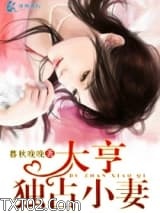 大亨独占小妻图片