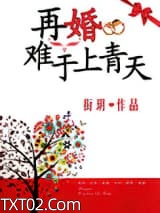 再婚难于上青天图片