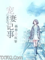 重生宠妻记事图片