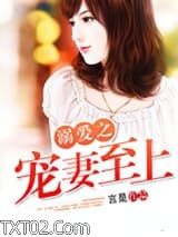 溺爱之宠妻至上图片