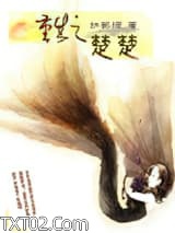 重生之楚楚图片