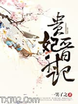 贵妃晋升记图片