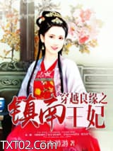 穿越良缘之镇南王妃图片