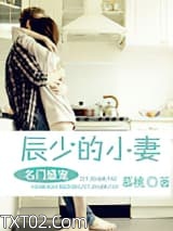 名门盛宠之辰少的小妻图片