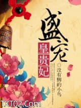 盛宠皇贵妃图片