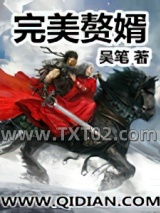 完美赘婿图片