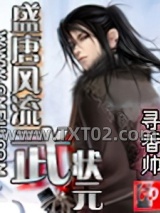 盛唐风流武状元图片