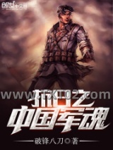 抗日之中国军魂图片