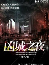 凶城之夜图片