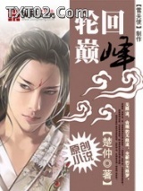 轮回巅峰图片