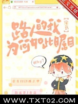 路人的我为何如此瞩目[穿书]图片